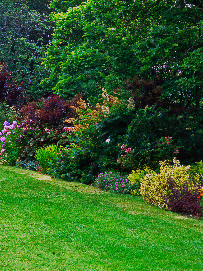 Landscape Design